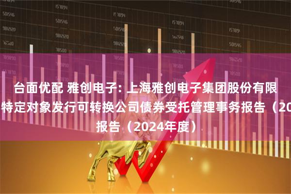 台面优配 雅创电子: 上海雅创电子集团股份有限公司向不特定对象发行可转换公司债券受托管理事务报告（2024年度）