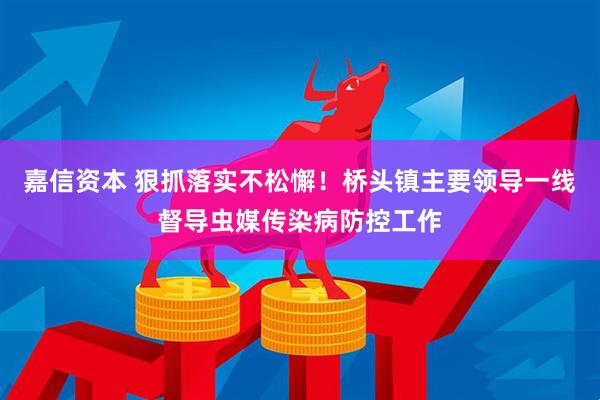 嘉信资本 狠抓落实不松懈!桥头镇主要领导一线督导虫媒传染病防控工作