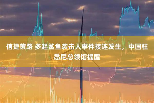 信捷策路 多起鲨鱼袭击人事件接连发生，中国驻悉尼总领馆提醒