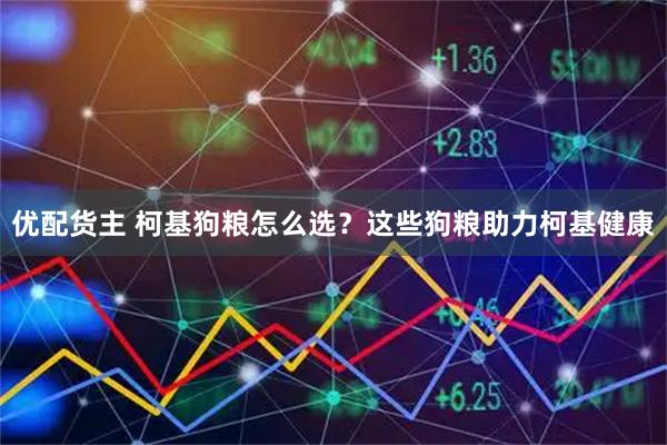优配货主 柯基狗粮怎么选？这些狗粮助力柯基健康