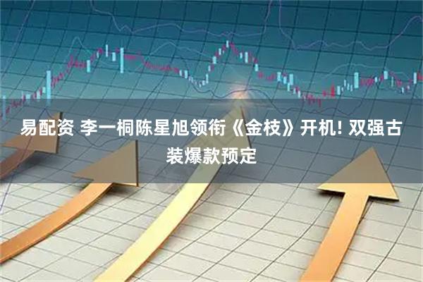 易配资 李一桐陈星旭领衔《金枝》开机! 双强古装爆款预定