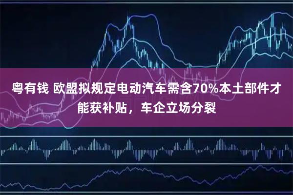 粤有钱 欧盟拟规定电动汽车需含70%本土部件才能获补贴，车企立场分裂
